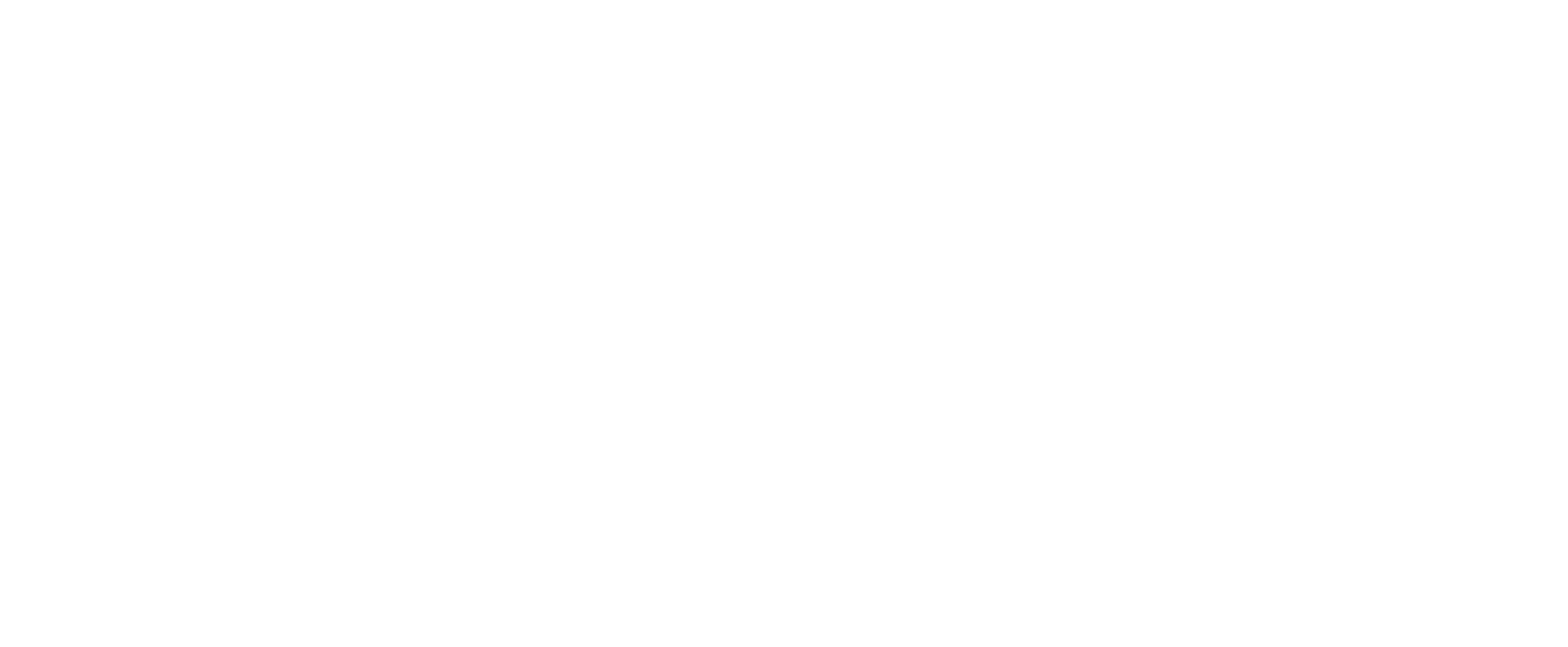 Basketball Beauties